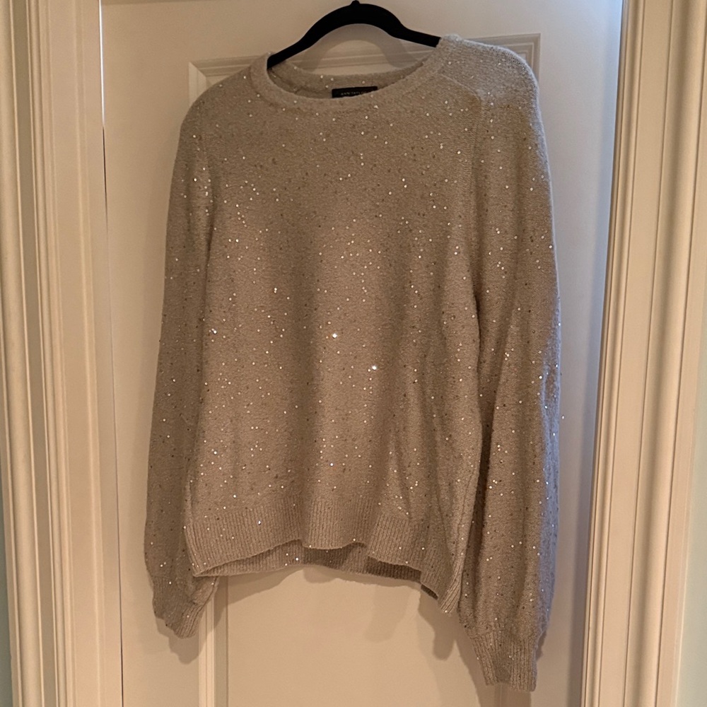 Ann Taylor Silver Sequin Sweater